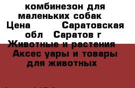 комбинезон для маленьких собак  › Цена ­ 600 - Саратовская обл., Саратов г. Животные и растения » Аксесcуары и товары для животных   